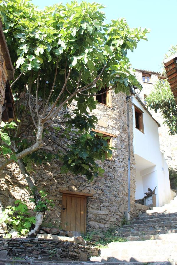 Casa Da Carvalha Villa Lousã Exterior foto